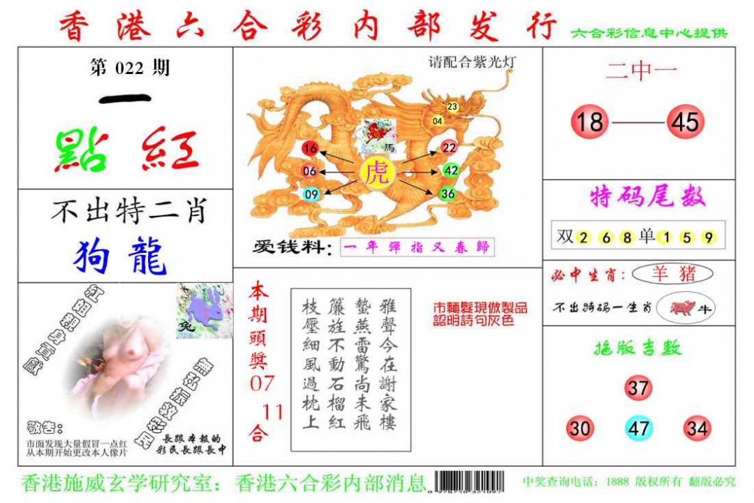 022期一点红[图]