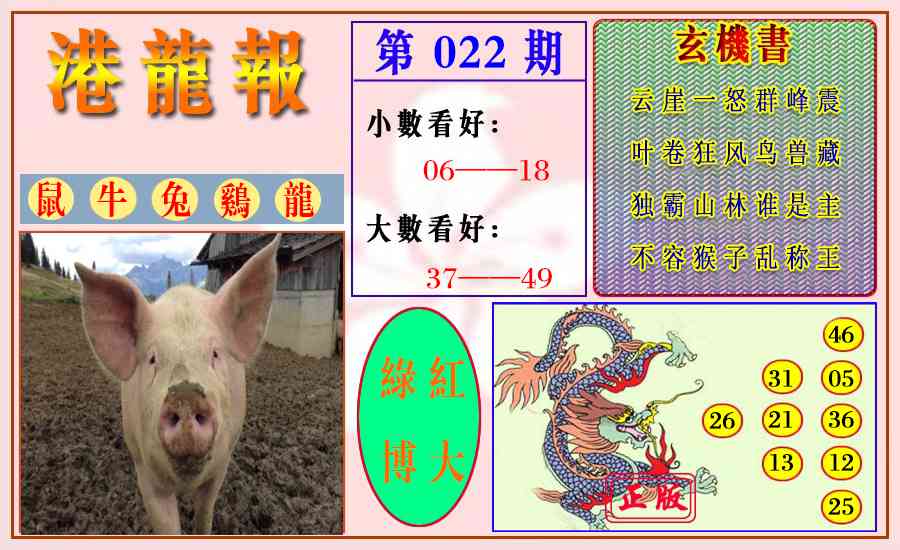 022期港龙报[图]
