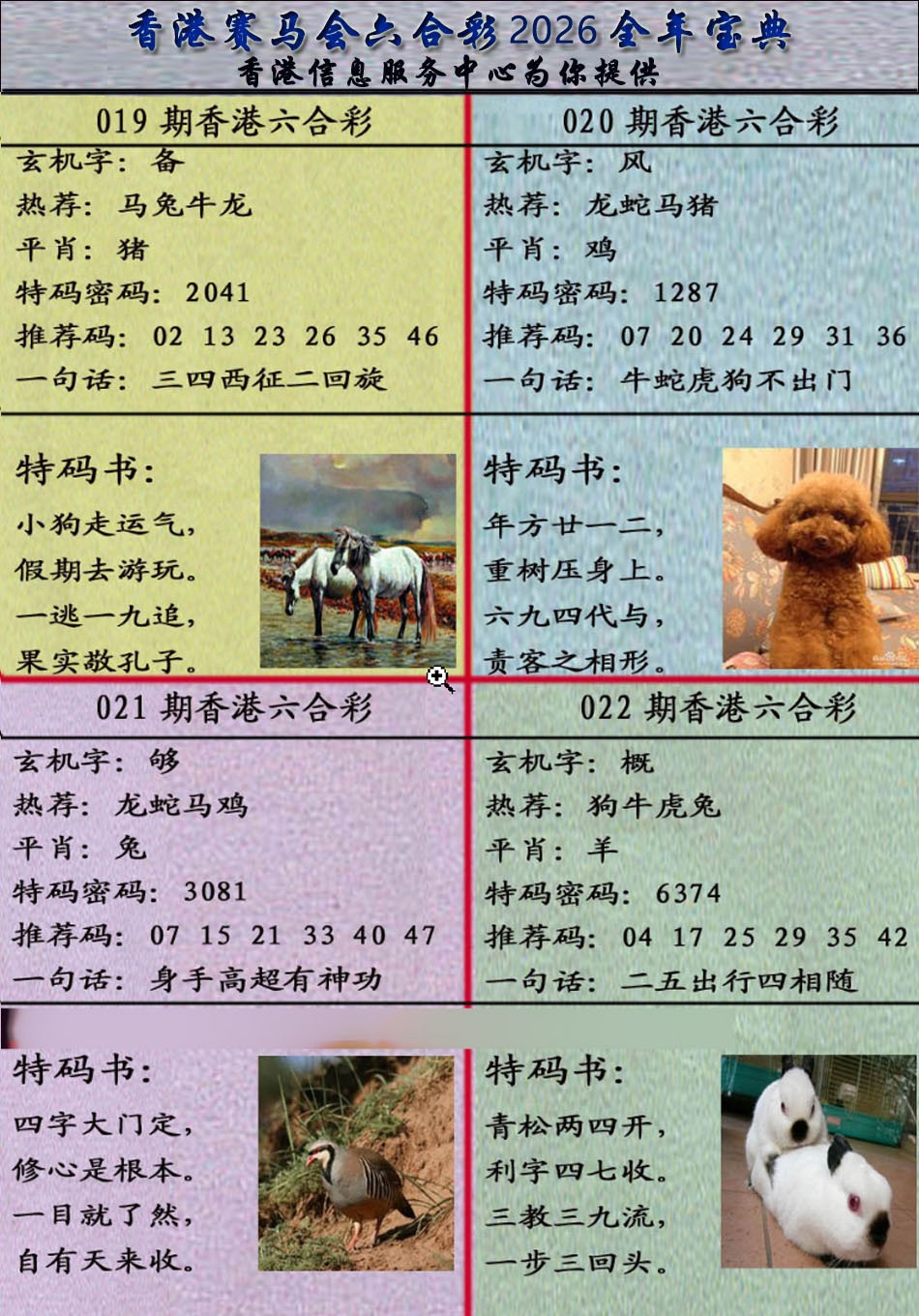 022期宝典报[图]