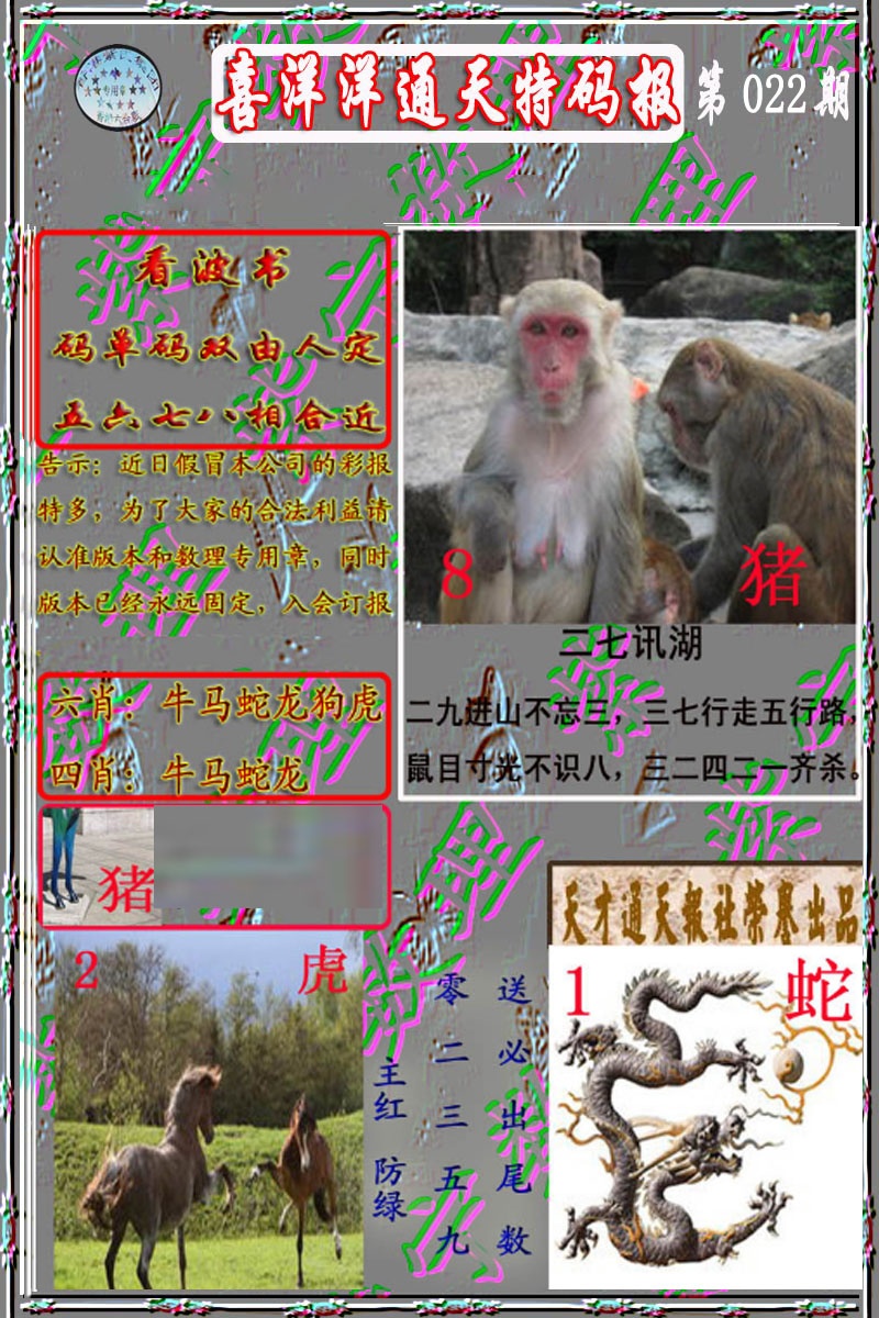 022期洋通报[图]