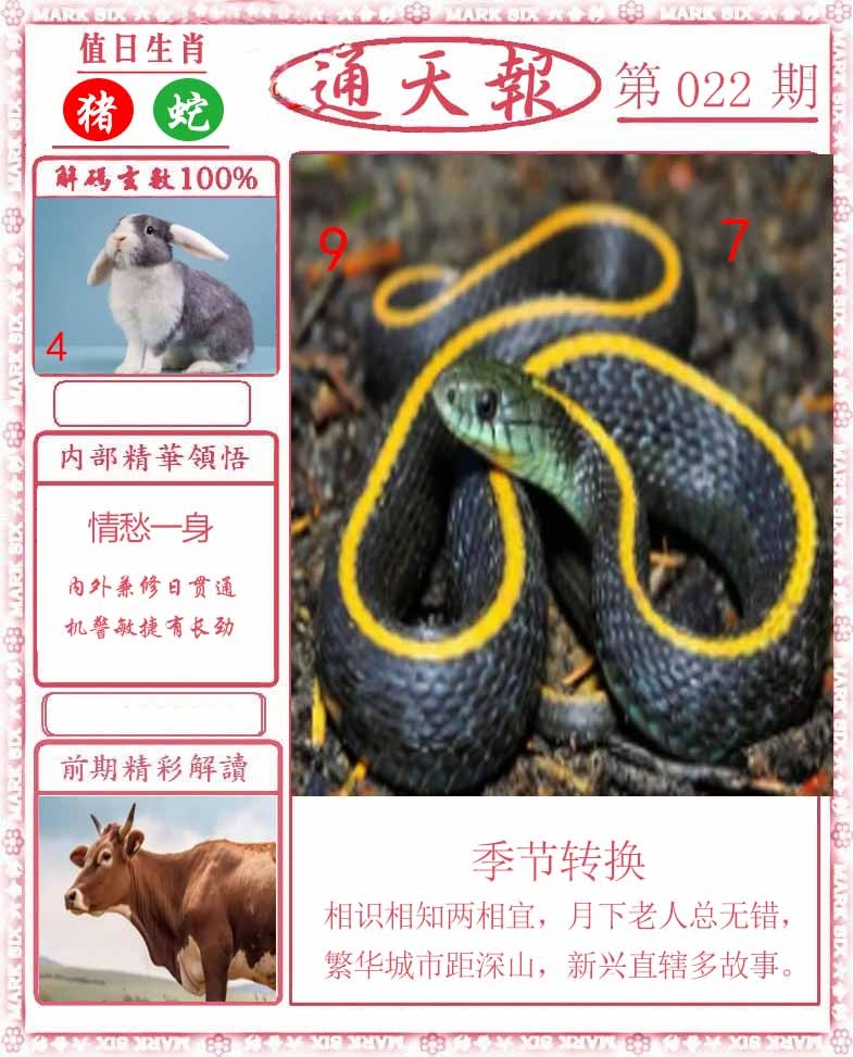 022期正版通天报[图]