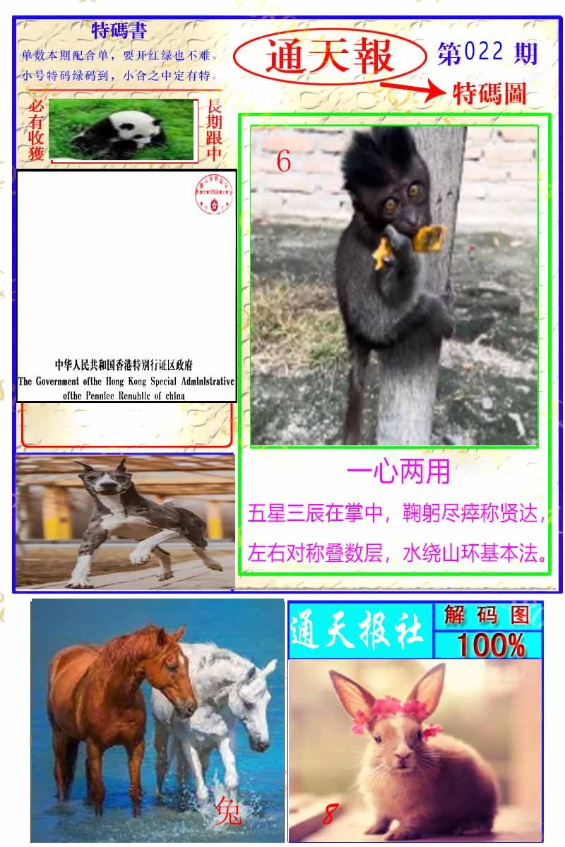 022期通天特解图[图]