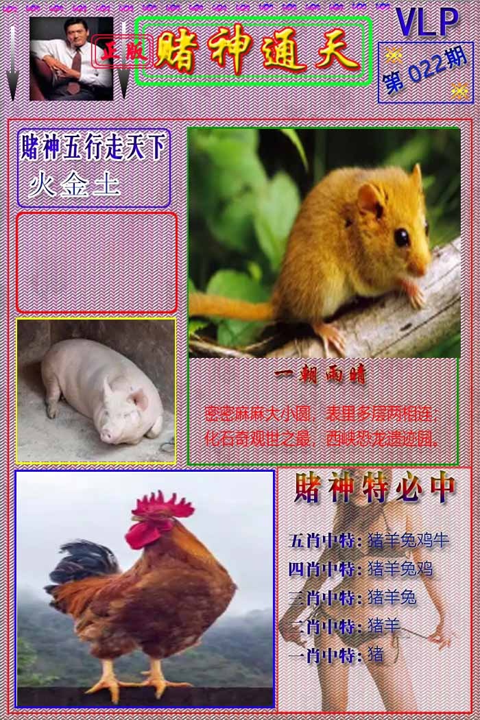 022期赌神通天报[图]
