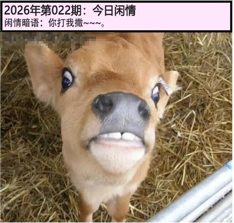 022期另版今日闲情[图]